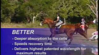 Laser Therapy for Pets and Horses VetLase 500 Deep Low Level Laser Therapy System [upl. by Adiesirb]