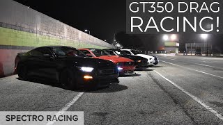 16 Shelby GT350 14 Mile  12917115mph  Incredible sound [upl. by Ienttirb]