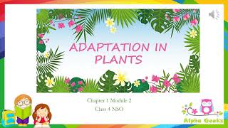 Adaptations in Plants  Module 21 Chapter 1  Olympiad Class 4 Science [upl. by Sapowith]