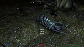 What is a Chaurus  Skyrim Special Edition [upl. by Einhorn]