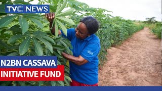 CBN Picks Federal Poly Offa For N2bn Cassava Initiative Fund [upl. by Tedmund374]