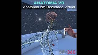 Anatomia VR  Multiusuário  Aula de Anatomia humana em Realidade Virtual no metaverso [upl. by Mccully273]