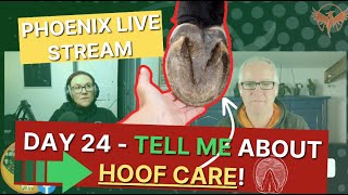 Day 24  TELL ME about HOOF CARE👍from P3 to abscesses❤️‍🩹 [upl. by Colis]