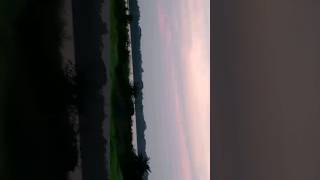 দৃশ্য 25 shortsfeed viewsviralvideosubscribersgrow subscribemychannel naturemysweetdreams [upl. by Inod]