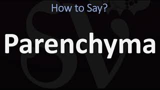 How to Pronounce Parenchyma CORRECTLY [upl. by Sadiras]