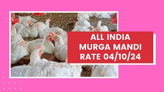 murga mandi rate today [upl. by Mercola]