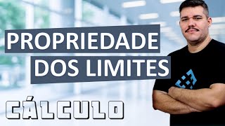 📚 Propriedade dos Limites  Cálculo 1 4 [upl. by Archibaldo606]