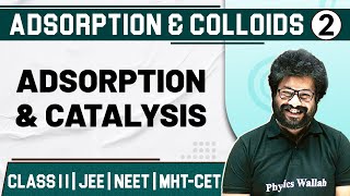 ADSORPTION AND COLLOIDS 02  Adsorption amp Catalysis  Chemistry  Class11thMHTCETJEENEET [upl. by Nedrah]