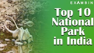 Top 10 National Park in India  General Awareness Static GK series for Bank PO UPSC SSC [upl. by Denby]