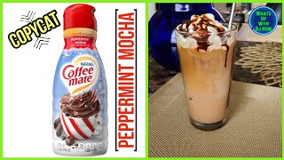 Copycat Peppermint Mocha Coffee Mate Creamer  How to make quick amp easy [upl. by Mulac]