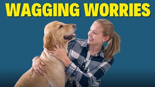 I Was Hurting My Dog Without Realizing It Until I Learned This  PODCAST 🎙️ [upl. by Sioled579]