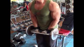 Arms Training  Style Milos Sarcev [upl. by Varien]