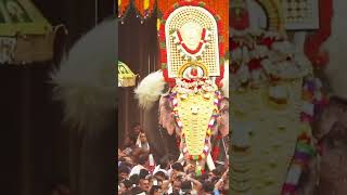 Thrissur Pooram 2022  Whatsapp Status thrissurpooram2022 thrissur thrissurnews [upl. by Akenal]