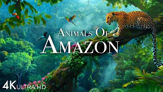 Animals of Amazon 4K  Animals That Call The Jungle Home  Amazon Rainforest Scenic Relaxation Film [upl. by Trebleda]