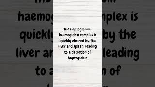 Haptoglobin in haemolysis  MRCP revision  shorts anaemia redbloodcells haemoglobin [upl. by Isidro]