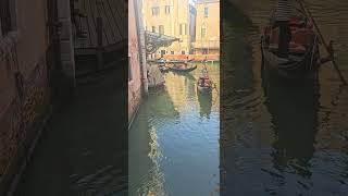 Gondoleros en Venecia Italia 21SET2024 [upl. by Sigvard]