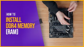 How to Install DDR4 Memory RAM [upl. by Pepita]