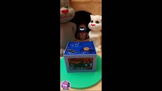 LIVE 🔥 Oddly Satisfying Toys [upl. by Genny]