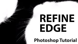 Photoshop CS5  Refine Edge [upl. by Dahaf]