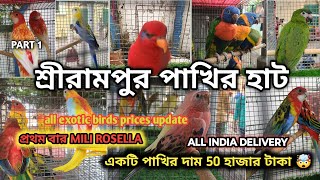 SHRIRAMPUR PET MARKET BIRDS PRICES UPDATE 20th OCTOBER PART 1 প্রথমবার MILI ROSELLA cheapestprice [upl. by Aurelius274]