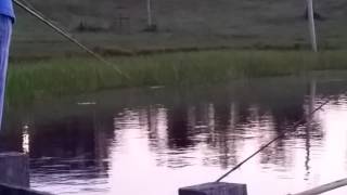 Rhonda Smith Bass fishing August 14 2015 [upl. by Cammie385]