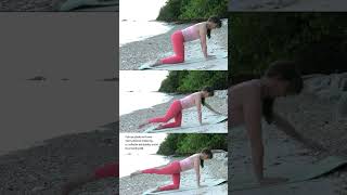 Boost Your Bone Health with Pilates PushUps The Benefits of PushUps for Osteoporosis [upl. by Nanyt]