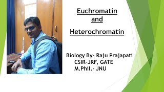 Euchromatin amp Heterochromatin [upl. by Sucramd738]