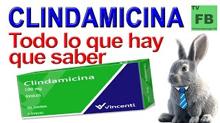 CLINDAMICINA Para qué Sirve Cómo se toma y todo lo que hay que saber ¡Medicamento Seguro👨‍🔬💊 [upl. by Navonod]