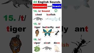 44 English Sounds 2  Consonants and Vowels [upl. by Nrev]