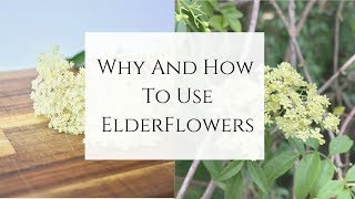 Why and How to use Elderflowers [upl. by Peppi]