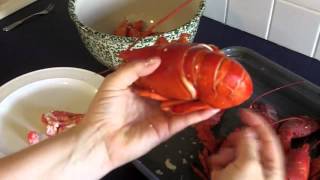 How to Get the Meat out of a Boiled Lobster [upl. by Hanae]