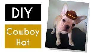 DIY Cowboy Hat  Easy Dog Hat Crochet Tutorial  Crochet Cowboy Hat for Dog  Rainbowww DIY [upl. by Sulamith705]