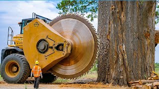 Extreme Dangerous Fastest Big Chainsaw Cutting Tree Machines  Monster Stump Removal Excavator 30 [upl. by Ris998]