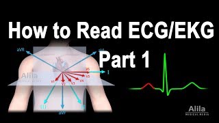 How to Read ECGEKG Part 1 Animation [upl. by Annaek421]