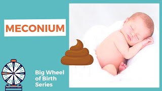 Babys First Poop is MECONIUM [upl. by Annairdna863]