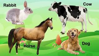 DOMESTIC ANIMALS  Learn Domestic Animals Sounds and Names For Children Kids And Toddlers [upl. by Richmond]