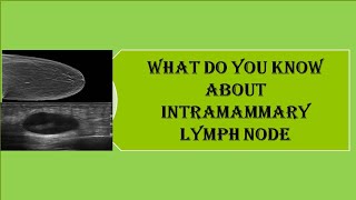 What do you know about intramammary lymph node [upl. by Ellenet143]