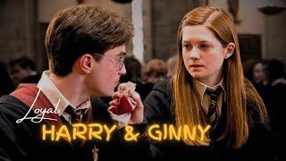 Harry amp Ginny Love Story  Loyal  Best Moments [upl. by Nnaj840]