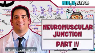 Musculoskeletal System  Neuromuscular Junction Pathologies Part 4 [upl. by Nyrtak]