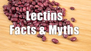 Lectins Facts amp Myths 700 Calorie Meals DiTuro Productions [upl. by Yrtneg]