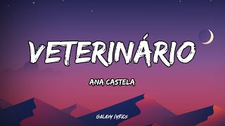 Ana Castela  Veterinário LETRA🎵 [upl. by Archibaldo230]