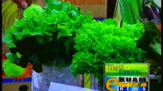 Hydroponic farming picks up steam [upl. by Yrot]