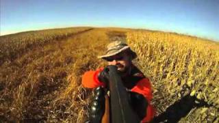 South Dakotas Pheasant Hunt Getaway [upl. by Elpmid]