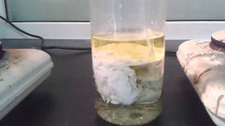 High concentration silver nitrate and Hydrochloric acid [upl. by Ambrose]