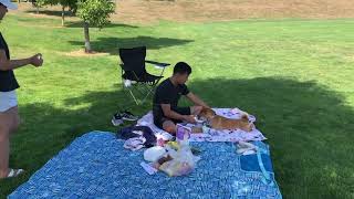 Weekend family picnics at Routley Park in Langley then playing sports [upl. by Goddord]