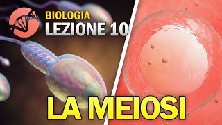 BIOLOGIA  Lezione 10  La Meiosi [upl. by Towrey]