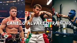 Canelo Alvarez training routine is insane [upl. by Adnuhsat]