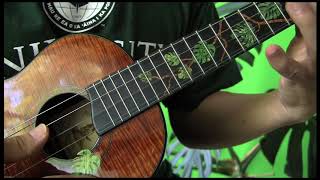 Hawaii Aloha ukulele instrumental rendition [upl. by Ainigriv]