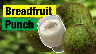 How to make Breadfruit Punch [upl. by Aramot]