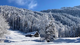 Toggenburg das schöne Steintal  Ebnat Kappel   Jodlerklub EbnatKappel  Naturjodel Em Köbi sin [upl. by Buttaro]